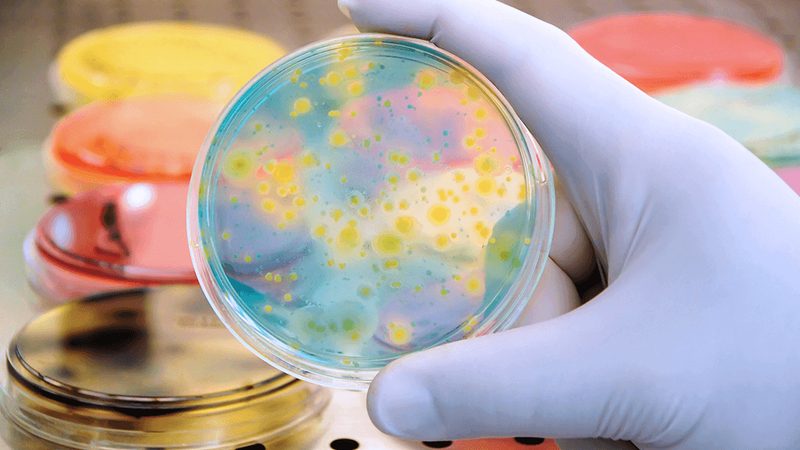 分子生物学试剂分类标准解析：如何选择合适的代理**
