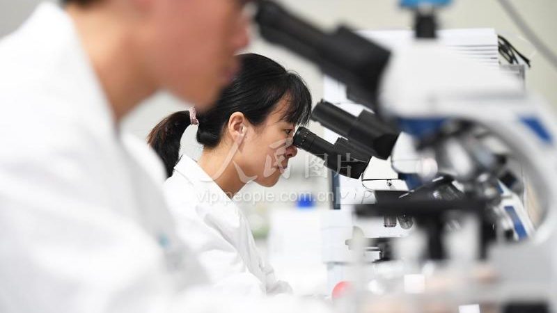 肿瘤基因测序结果出炉时间揭秘