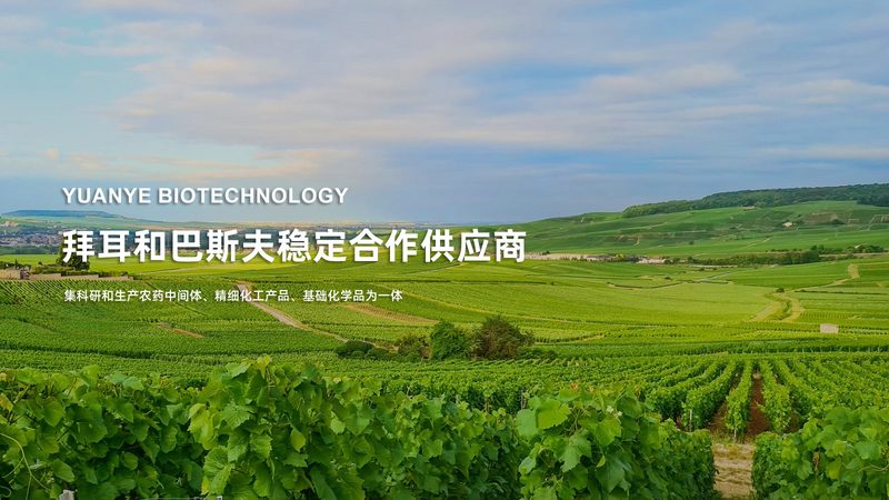 低温离心管：揭秘其背后的科学与应用**