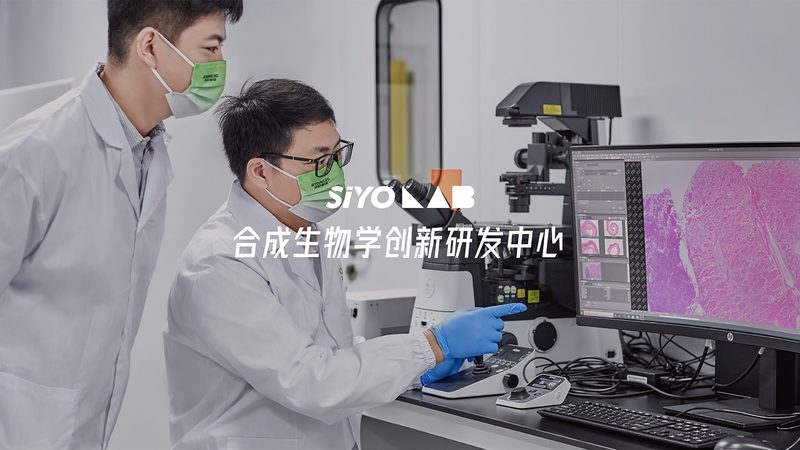 引物合成：揭秘精准科研的“基因钥匙”**