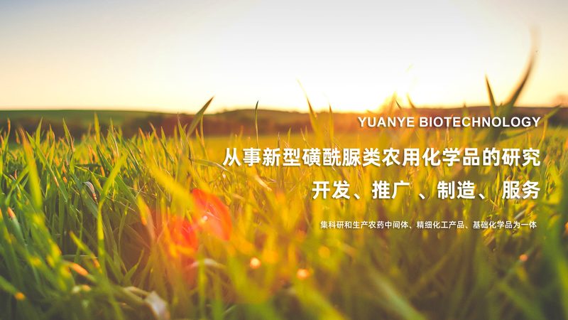 生物医药外包质量检验：流程揭秘与标准解析