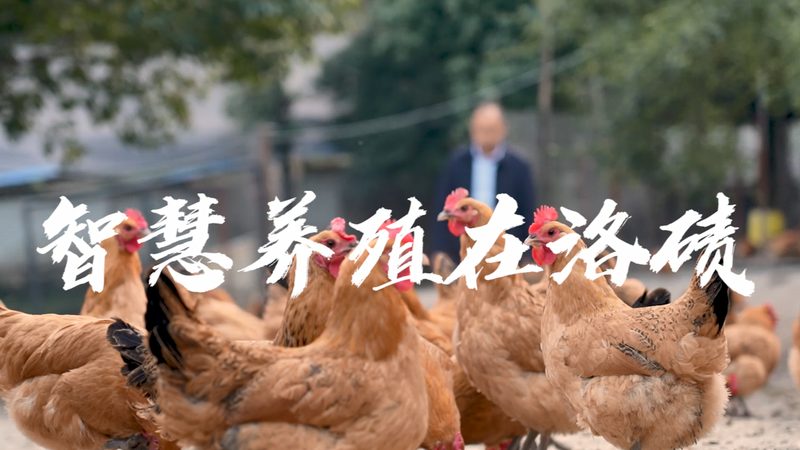 参数解析：关键指标识别