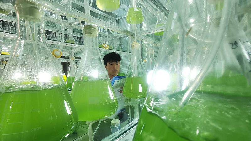 分子生物学试剂：如何选择可靠的代理商？**